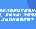 2024年终极盈利店铺打造攻略：从产品选品到爆款推广，全方位系统化运营课程