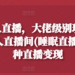 抖音24小时无人直播攻略：大佬级睡眠直播间，揭秘多模式直播变现秘诀