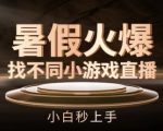 暑假狂欢！轻松上手小白必玩找不同小游戏直播大揭秘
