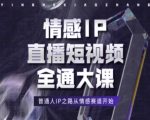 情感IP直播短视频全通大课：零基础小白如何从情感赛道快速崛起打造个人品牌