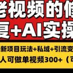 掌握视频修复技术轻松搬砖引流，稳定收益300+，持续变现策略大揭秘