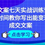 七天速成！打造高转化率成交文案实战训练营，让你轻松写出赚钱利器！