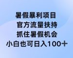 暑假狂赚直播攻略，官方海量流量助攻，抢占暑期盈利高峰——揭秘独家赚钱秘诀！