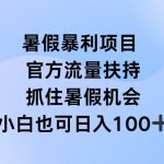 暑假狂赚直播攻略，官方海量流量助攻，抢占暑期盈利高峰——揭秘独家赚钱秘诀！