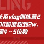 个人成长VLOG训练营二期火爆开启！轻松实现粉丝暴涨至2万，月入过万不是梦！