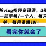 打造VLOG视频达人：零基础快速变现攻略，只需一部手机，单人操作，每天五分钟，月入过万不是梦！