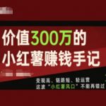 小红书300万变现攻略：快速链路、轻松运营，抓紧行动，别错过小红薯风口