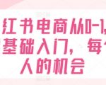 掌握小红书电商从0到1：零基础快速入门，开启你的成功创业之旅