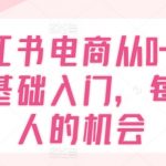 掌握小红书电商从0到1：零基础快速入门，开启你的成功创业之旅