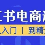 掌握小红书电商运营：从新手小白到高手达人，轻松捕捉下一波财富浪潮