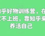在家也能赚钱！揭秘知乎好物训练营，轻松月入过万不是梦！