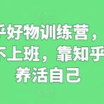 在家也能赚钱！揭秘知乎好物训练营，轻松月入过万不是梦！
