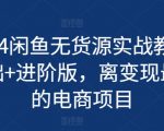 2024最新闲鱼无货源电商教程：从入门到精通，轻松实现变现梦！