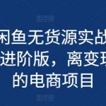 2024最新闲鱼无货源电商教程：从入门到精通，轻松实现变现梦！