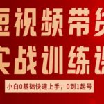 短视频带货高手速成课！从零到一快速掌握好物分享秘籍，小白也能成为带货达人！