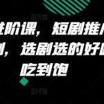 短剧制作进阶秘籍：精准选剧技巧大揭秘，轻松掌握推广要点，让你收益翻倍！