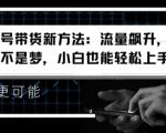 视频号带货攻略：轻松实现流量暴涨，日赚千元不是幻想，新手快速变现秘诀大揭秘