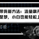 视频号带货攻略：轻松实现流量暴涨，日赚千元不是幻想，新手快速变现秘诀大揭秘