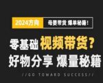 短视频新手变带货王！母婴赛道流量训练营，揭秘零基础视频营销，好物爆量秘籍大公开