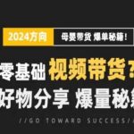 短视频新手变带货王！母婴赛道流量训练营，揭秘零基础视频营销，好物爆量秘籍大公开