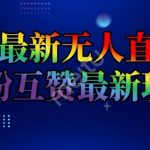 抖音独家揭秘：无人直播间互粉互赞玩法，日赚2000+的赚钱秘诀大公开！