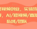 AI短视频创业攻略：引爆实体流量实战，揭秘AI+短视频+直播+私域流量+团队协作高效盈利模式！