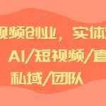 AI短视频创业攻略：引爆实体流量实战，揭秘AI+短视频+直播+私域流量+团队协作高效盈利模式！