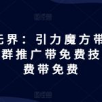 2024年终极攻略：揭秘引力魔方推荐玩法，人群推广免费技巧大放送，付费效果免费也能达到！