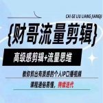 财哥独家揭秘：高级剪辑技巧+流量密码，轻松打造质感爆棚的个人IP口播视频！