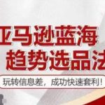 亚马逊蓝海市场选品秘籍：揭秘信息差套利技巧，快速实现盈利翻倍！