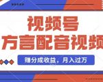 揭秘：方言配音视频月入数千不是梦！轻松操作视频号分成计划，千粉账号额外变现攻略，简单步骤助你月赚几千！