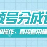 视频号盈利新攻略：轻松上手，一键套用模板，5分钟打造爆款作品！