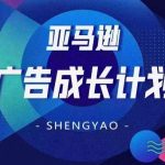 亚马逊广告致胜攻略：全方位精通矩阵搭建，实现流量开源节流，打造多元化流量帝国！