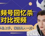 打造爆款短视频！撸视频号分成计划，每天一小时，月入过万不是梦！新手小白也能轻松赚钱！【独家揭秘】