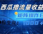 西瓜视频轻松吸金攻略，新手快速变现技巧，0粉丝也能日赚1000+，独家揭秘流量矩阵操作！