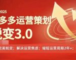 2024-2025拼多多运营终极攻略3.0版：从0到1的神奇蜕变，彻底摆脱信息焦虑！