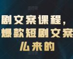 短剧文案创作秘籍：揭秘如何打造一夜爆红的短剧文案！