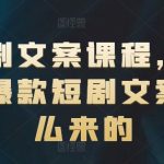 短剧文案创作秘籍：揭秘如何打造一夜爆红的短剧文案！