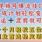 视频号流量爆破秘诀！月入过万稳定项目揭秘，搬运+混剪轻松变现，分成计划助你财富增长！