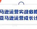 亚马逊运营终极攻略：从入门到精通，一课掌握运营成长秘籍！