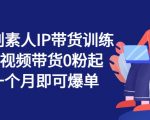 繁星计划：揭秘素人IP带货秘诀，0粉丝短视频起号攻略，30天轻松实现爆单奇迹！