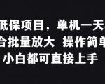 揭秘稳定低保项目：单机日赚50+，轻松批量放大，操作简易，新手也能快速上手！