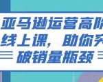 掌握亚马逊高级运营策略，极速提升销量，成为电商巨头！