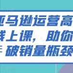掌握亚马逊高级运营策略，极速提升销量，成为电商巨头！