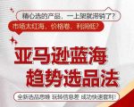 揭秘亚马逊蓝海市场趋势选品秘籍，掌握全新选品策略，轻松利用信息差赚翻天！