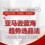 揭秘亚马逊蓝海市场趋势选品秘籍，掌握全新选品策略，轻松利用信息差赚翻天！