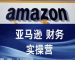 亚马逊终极财务核算秘籍！跨境电商运营必学教程，业绩飙升不是梦！
