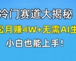 冷门赚钱项目揭秘：无需AI技术，轻松月入过万，新手快速上手的赚钱秘诀！