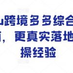 TEMU跨境电商全面运营攻略：实战高手揭秘落地实操秘诀！