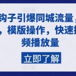 掌握同城流量引爆秘籍：轻松学习高效模板操作，迅速增加视频播放量